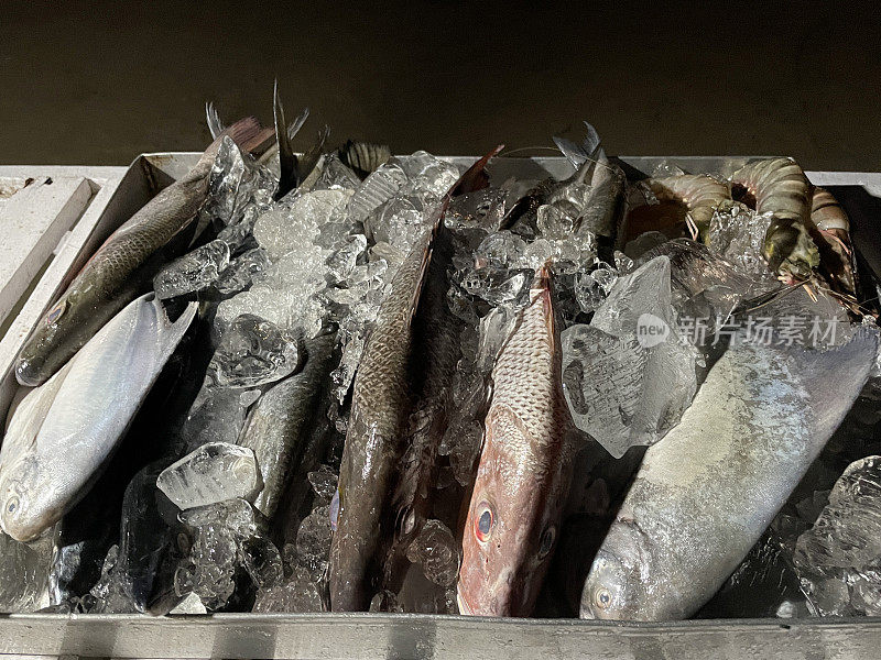 整条红鲷鱼在金属托盘的碎冰上保持新鲜，户外海滩餐厅烧烤食材的特写图像，高架视图，聚焦于前景