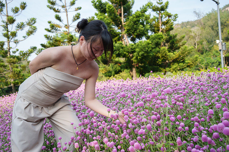 赏花少女