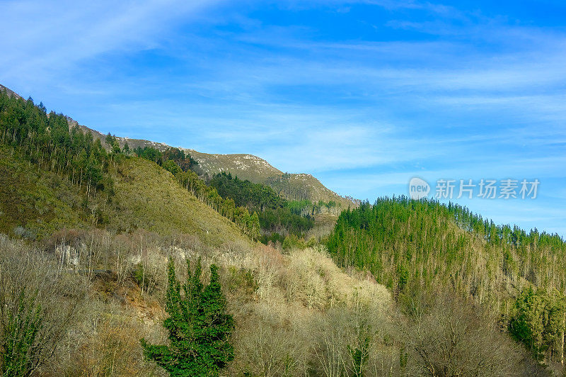 山风景