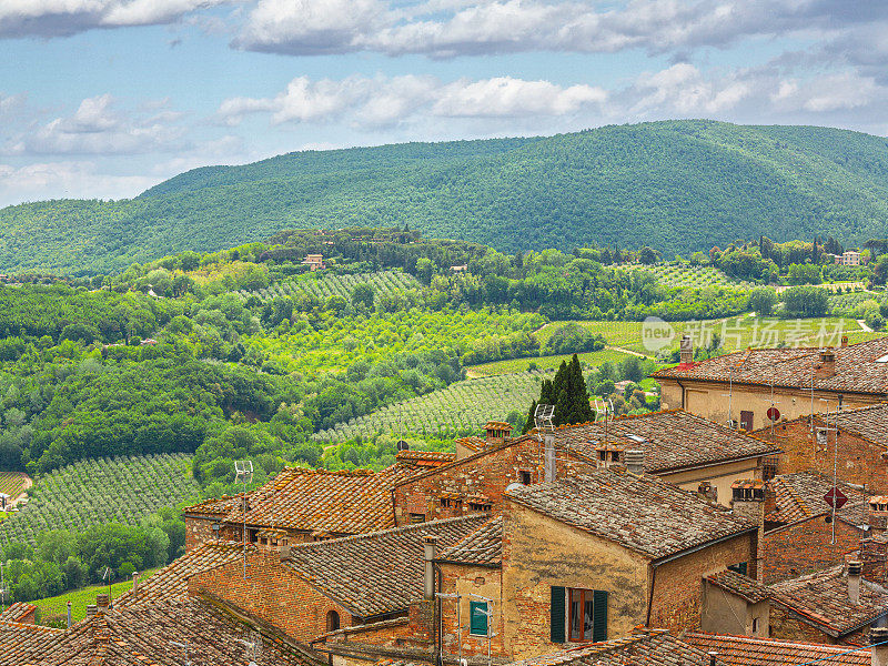 从意大利蒙特普尔恰诺(Montepulciano)俯瞰，托斯卡纳(Tuscany)的绿色山丘上覆盖着葡萄园、橄榄树种植园和森林