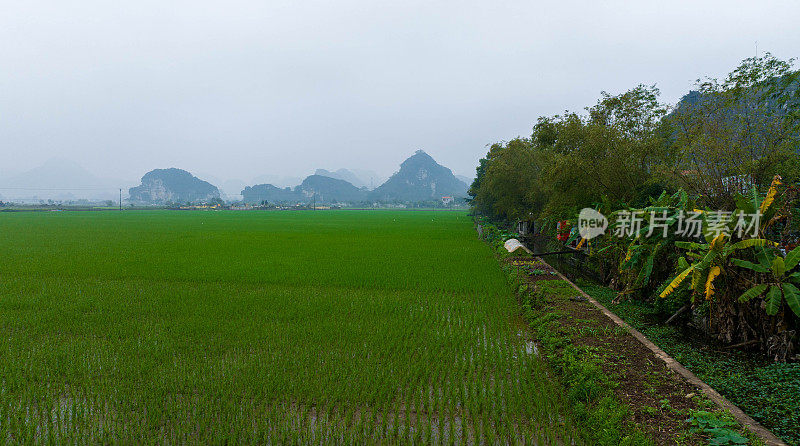 村庄稻田和河流，宁平，越南风景