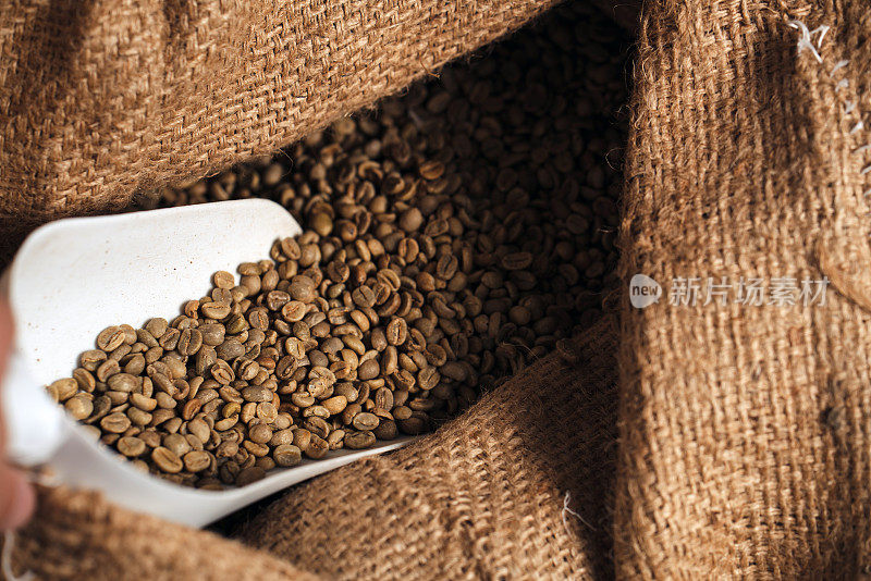 未烘焙的阿拉比卡咖啡豆