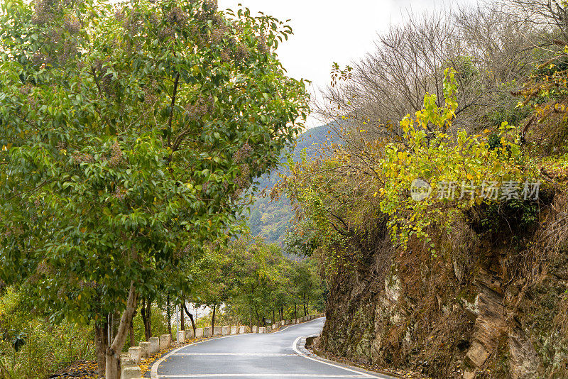 蜿蜒的山路