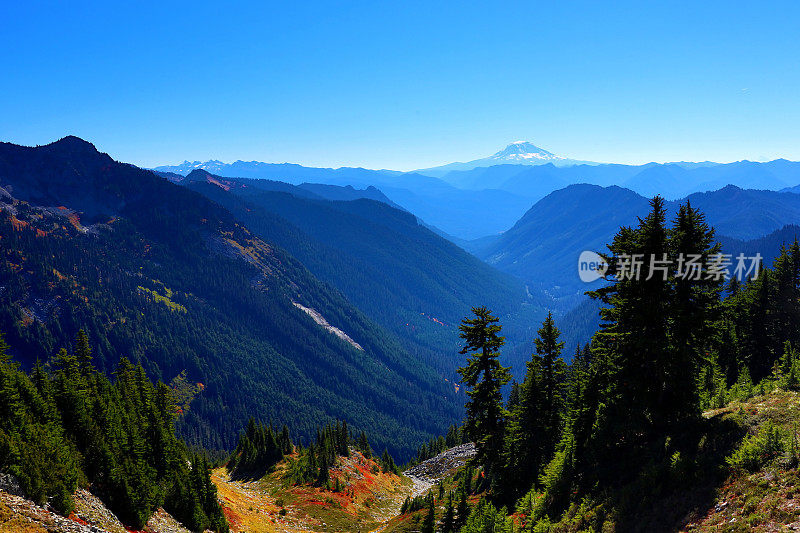 来自雷尼尔山的亚当斯山