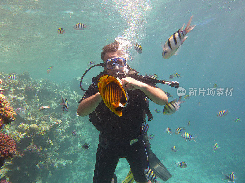 潜水探索珊瑚海