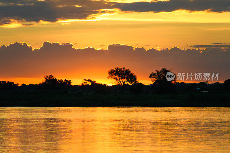 赞比西河上的非洲日落全景