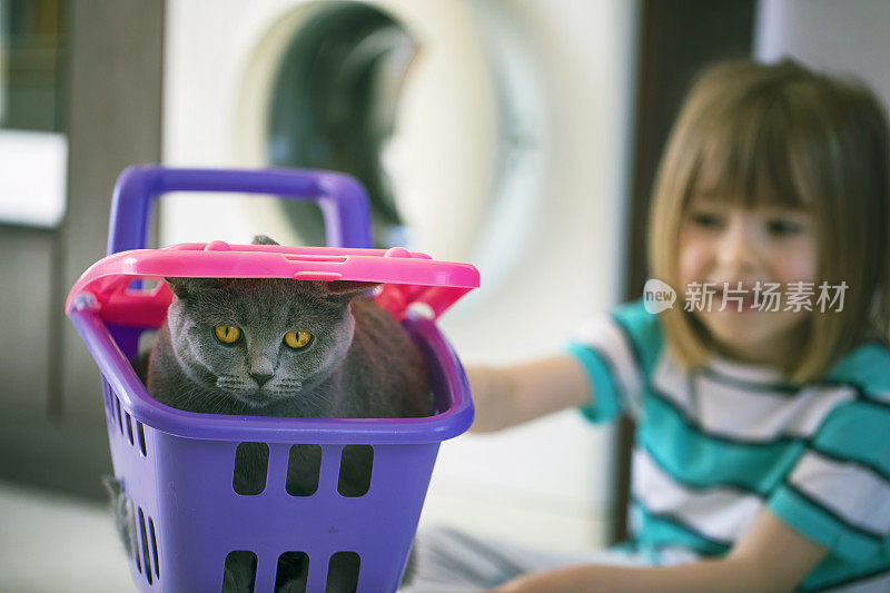 孩子在家里和他的猫玩