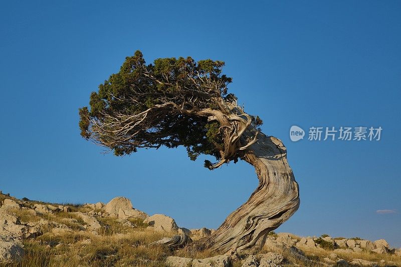 土耳其安塔利亚的黄昏山景