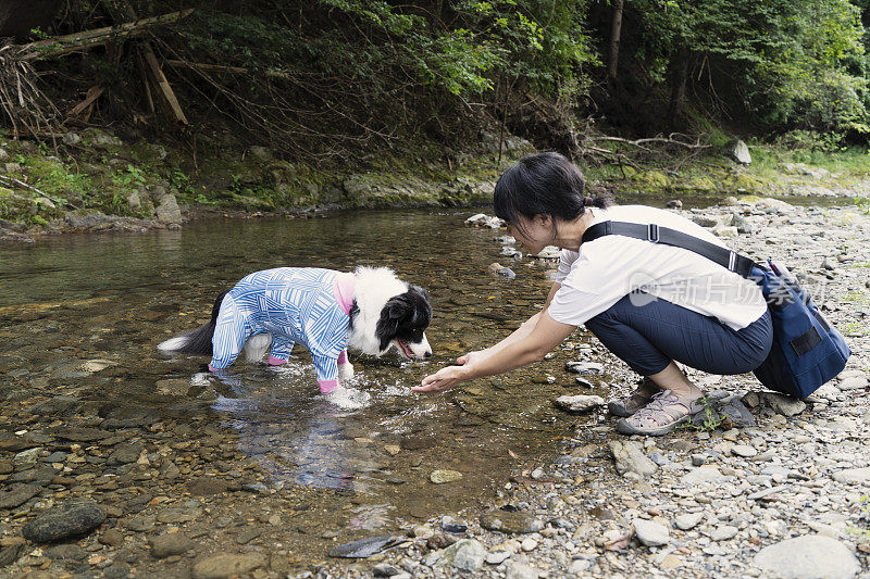 一个女人和宠物博德牧羊犬在大自然中休息