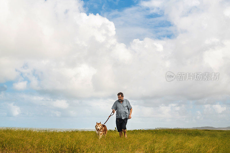 驯兽师在草地上遛狗