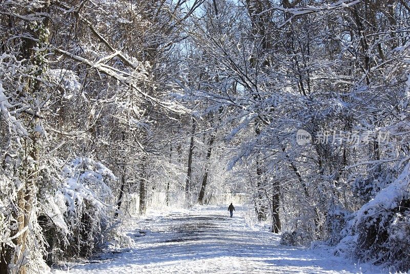 孟菲斯雪