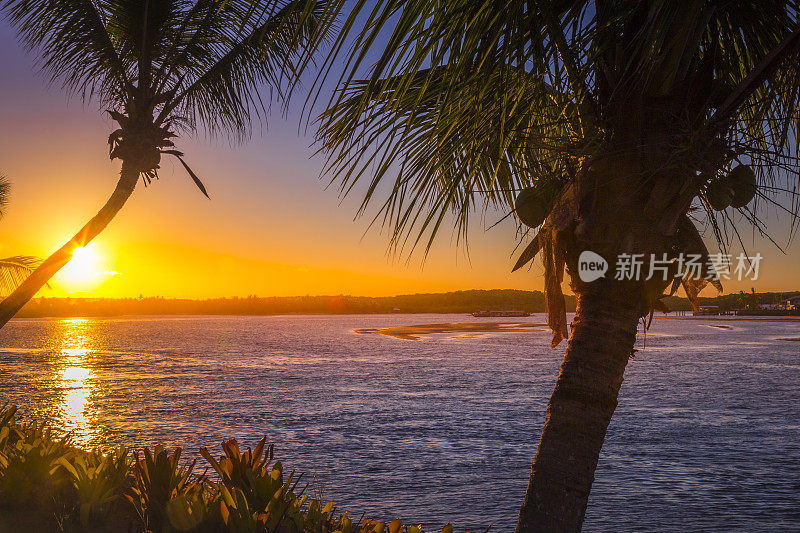 在巴西东北部巴伊亚的海滩和棕榈树上，戏剧性的天空——塞古罗港的日落