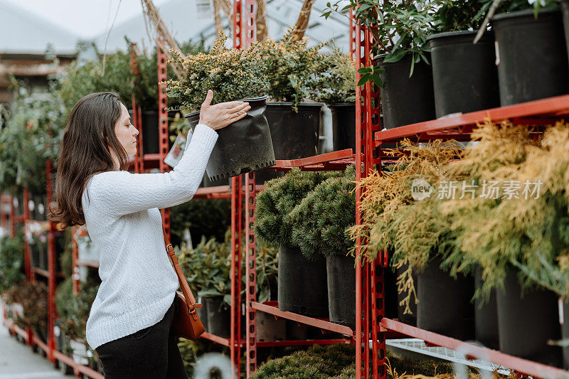 女人买植物