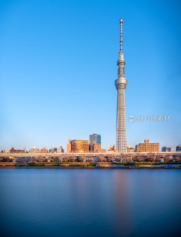 东京天空树，日本天际线在Sumida河拂晓