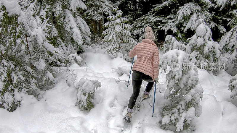 一名女性徒步旅行者穿过白雪覆盖的森林