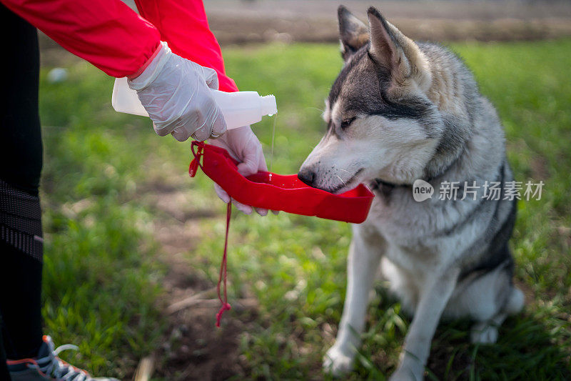 一个女人在公园里用狗的水瓶给狗喂水