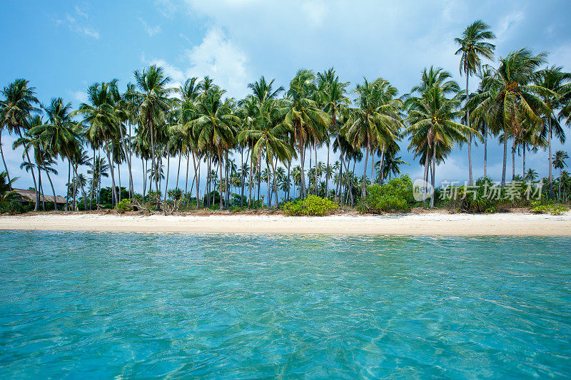 泰国苏梅岛的热带海滩和椰子树