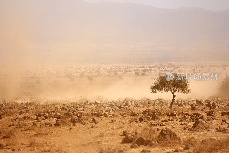 干旱期间多尘的平原