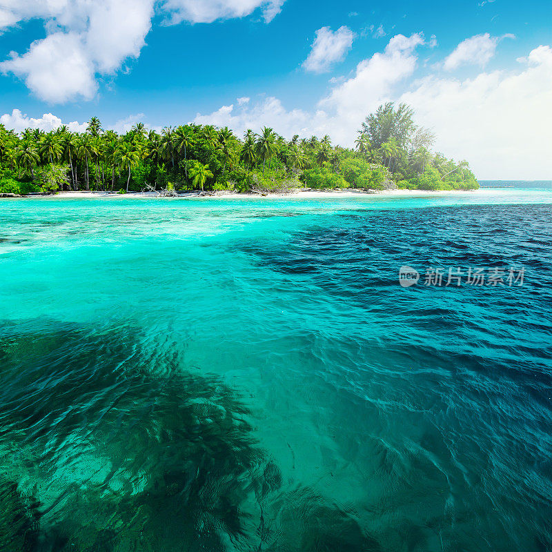 白天美丽的热带岛屿马尔代夫的自然景观