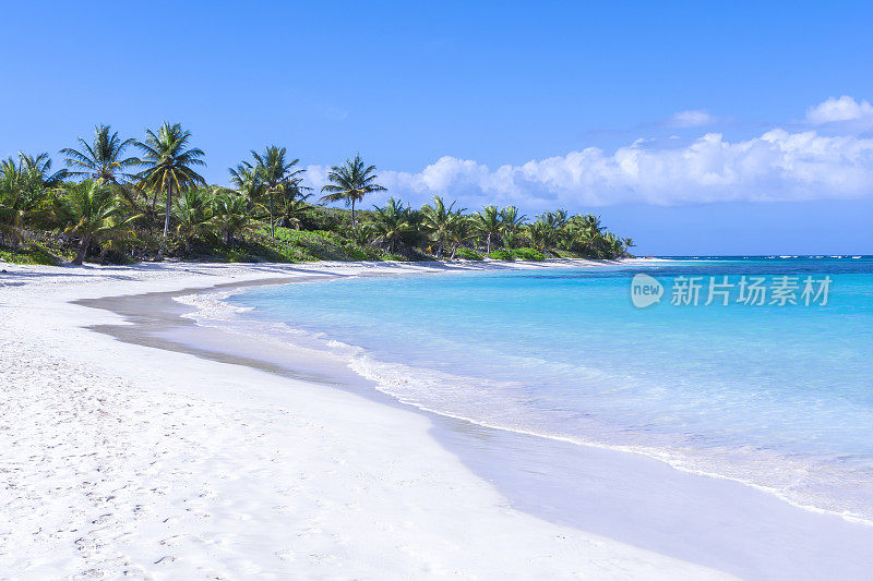 美丽的白色沙滩加勒比海海滩