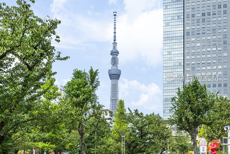 从金石公园看到的东京天空树