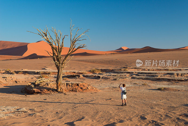拍摄非洲纳米比亚的沙漠
