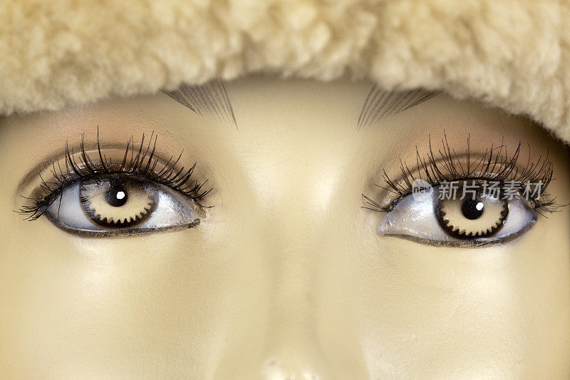 人体模型的眼睛