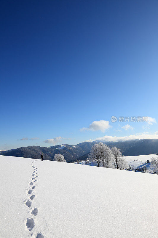 雪地上的脚印