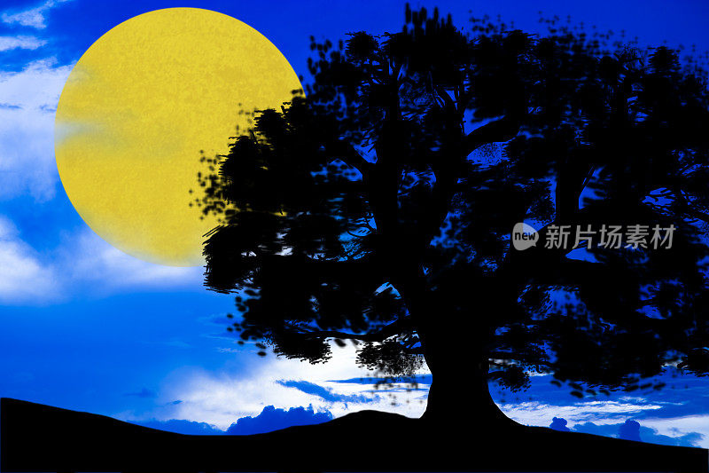 自然背景场景与剪影树，满月。