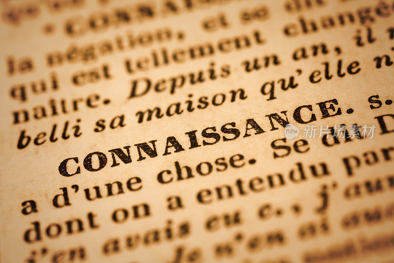 conrenaissance:法语词典特写