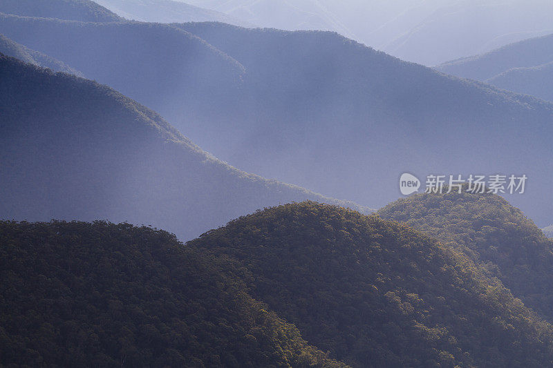 斯莫科野狗