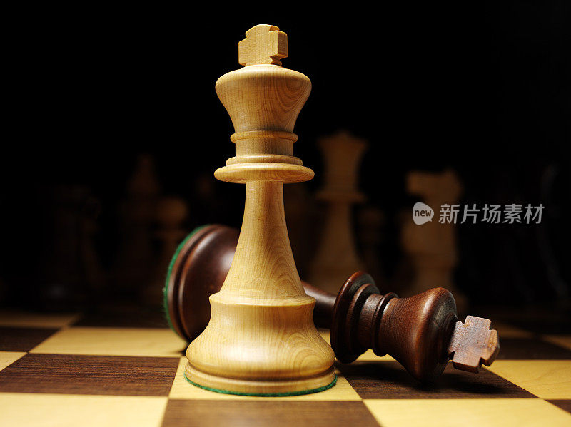 两个国际象棋王