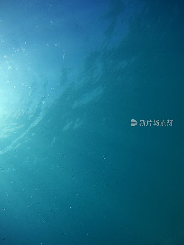 海底世界