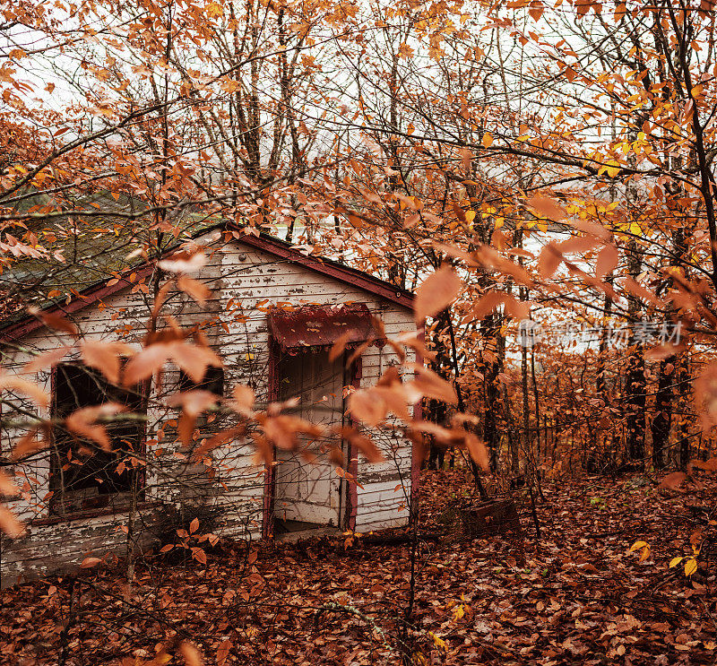 秋天的小屋