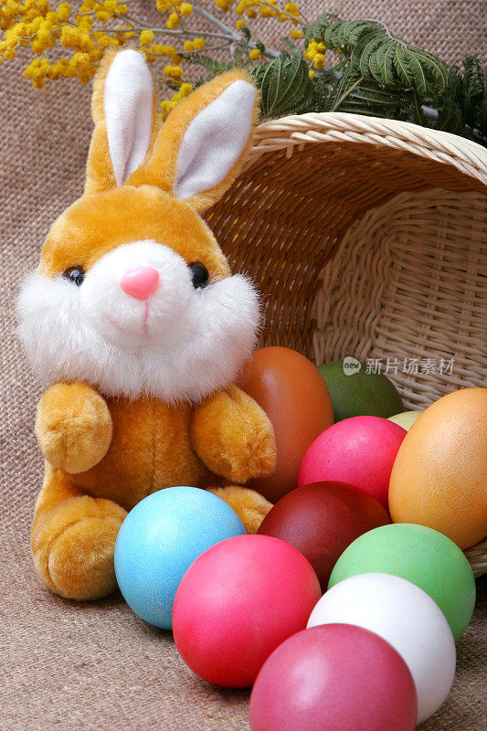 带着复活节彩蛋的快乐兔子
