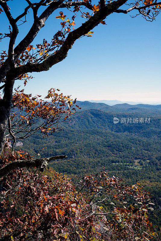 阿巴拉契亚山脉