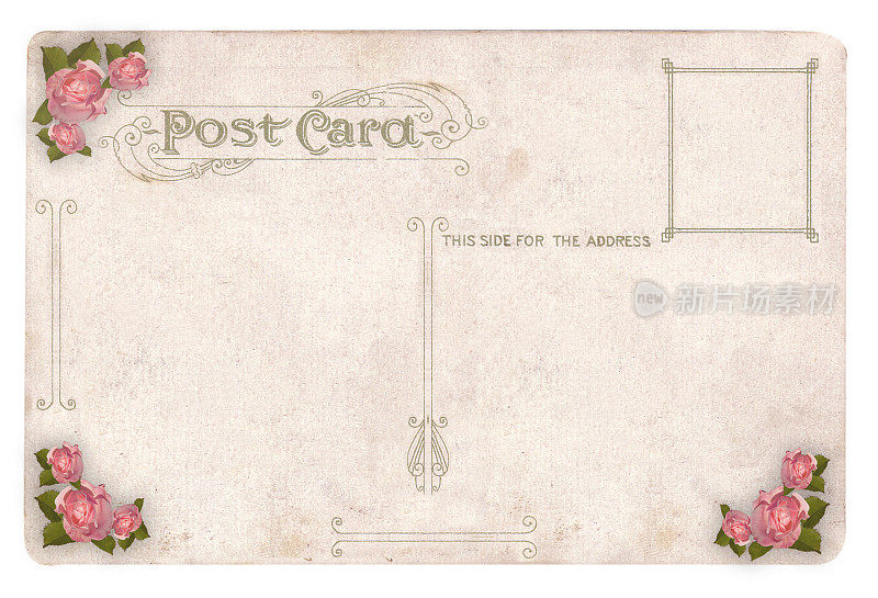 19世纪的玫瑰明信片
