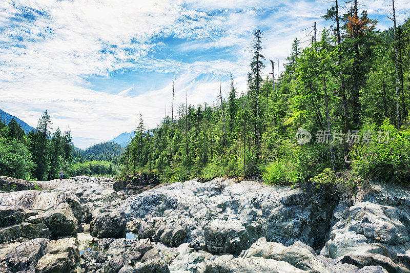 加拿大不列颠哥伦比亚省温哥华岛的沃利河