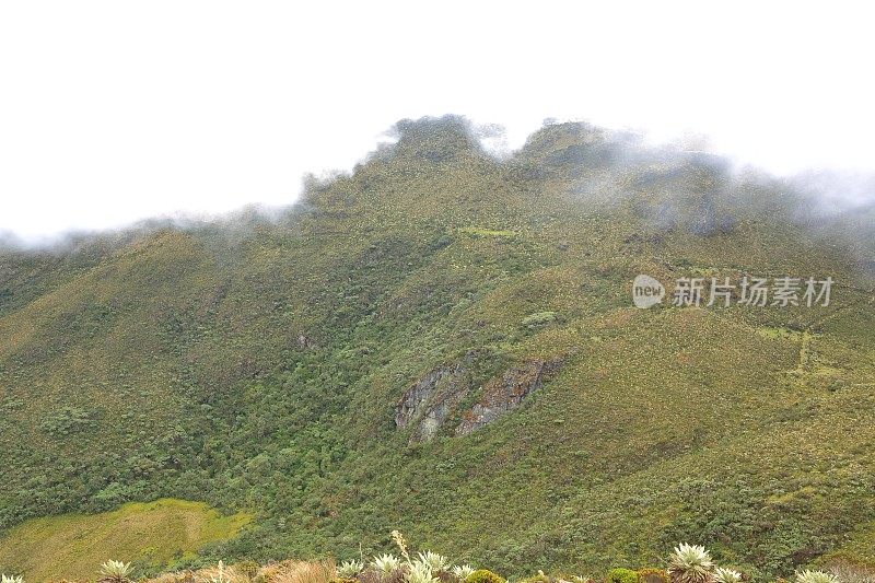 塔奇拉陡峭的山地荒原