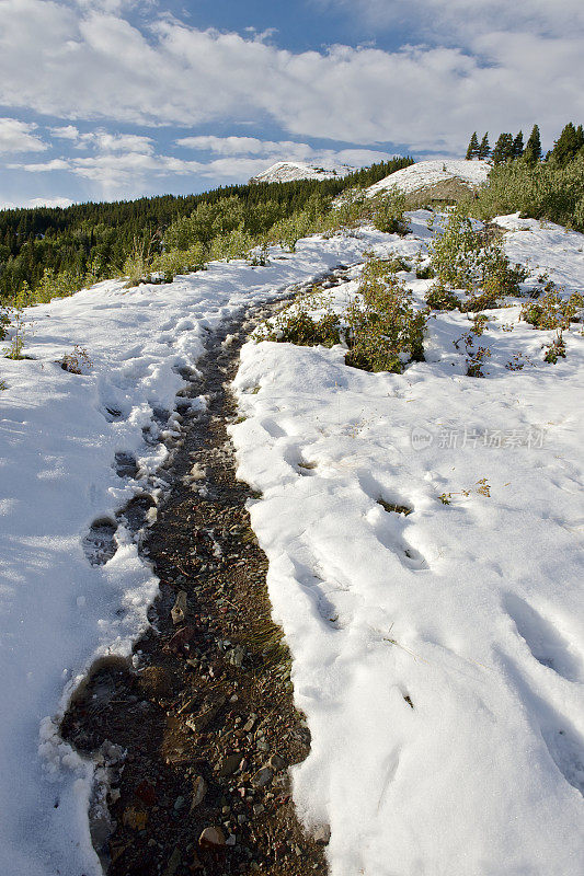 冰川国家公园洛根垭口隐湖徒步旅行步道雪