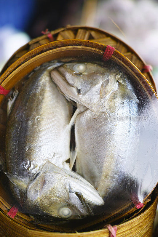 泰国鲭鱼。