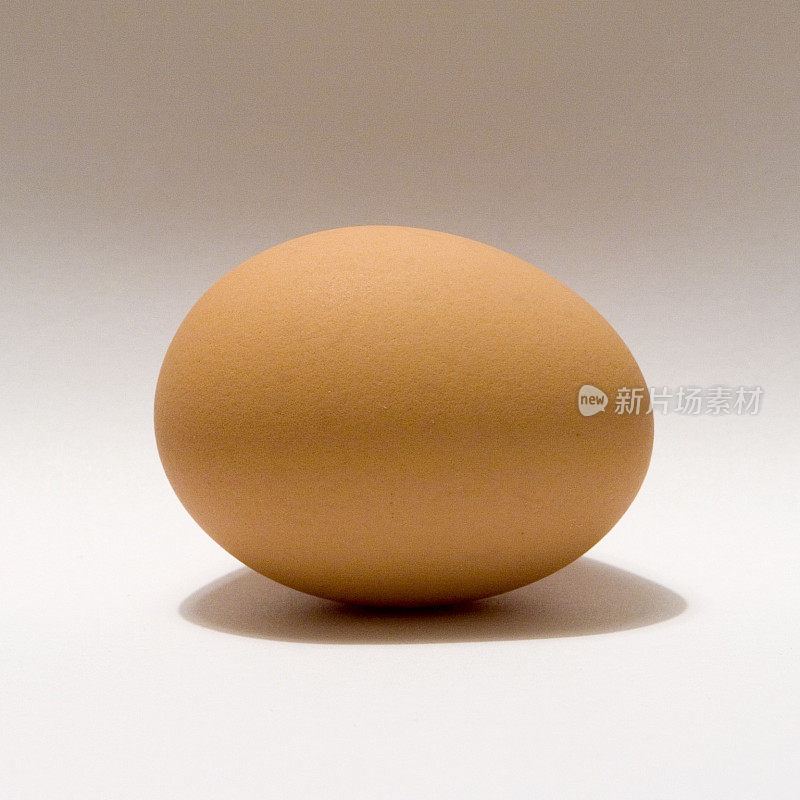 一只母鸡的蛋