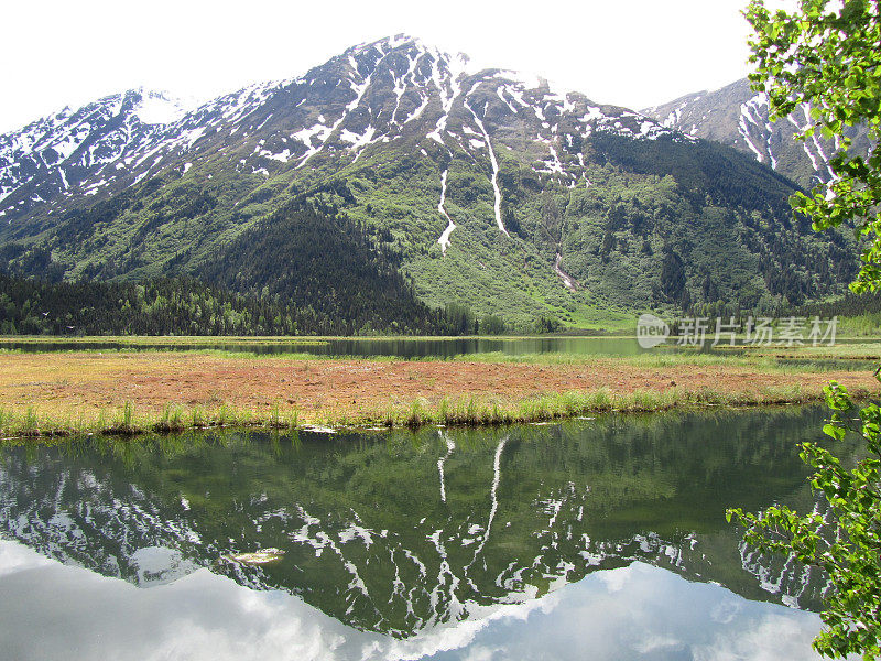 山脉的倒影-基奈峡湾国家公园