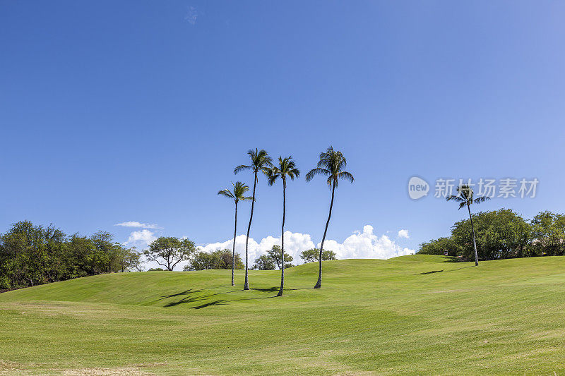 夏威夷高尔夫球场