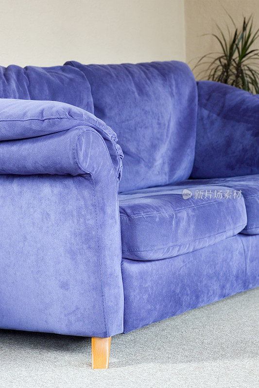 燕麦地板上的蓝色麂皮沙发
