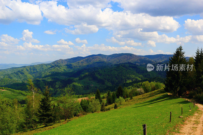 五月的山景。Beskid,波兰。