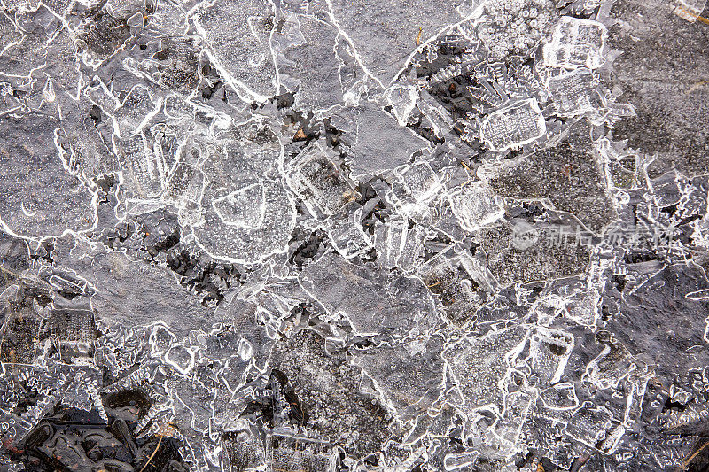 冬季水坑上的冰的特写