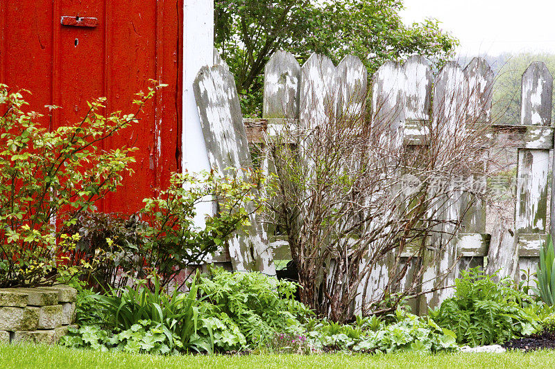 彩色的红色谷仓对着古老的白色尖桩篱笆
