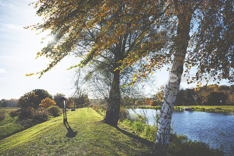 秋天运河边五颜六色的树木