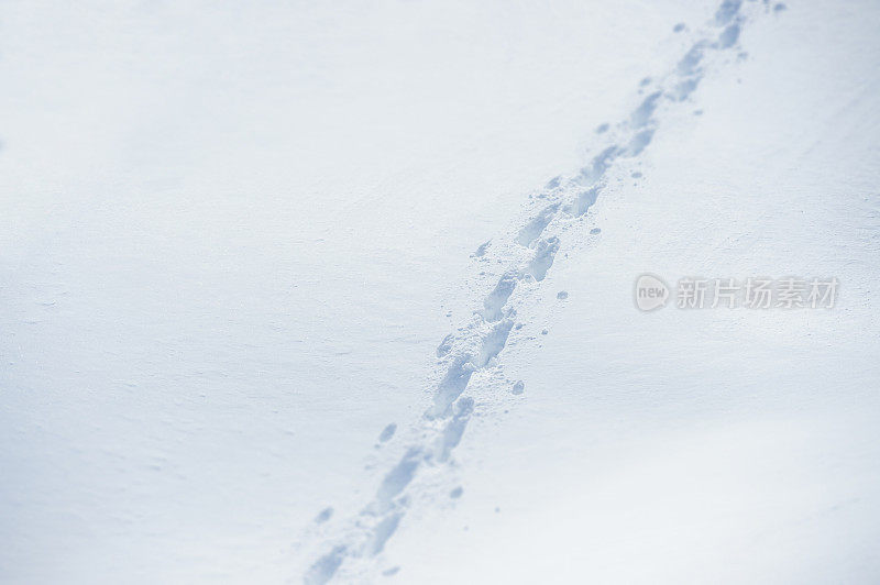 雪地里的脚印